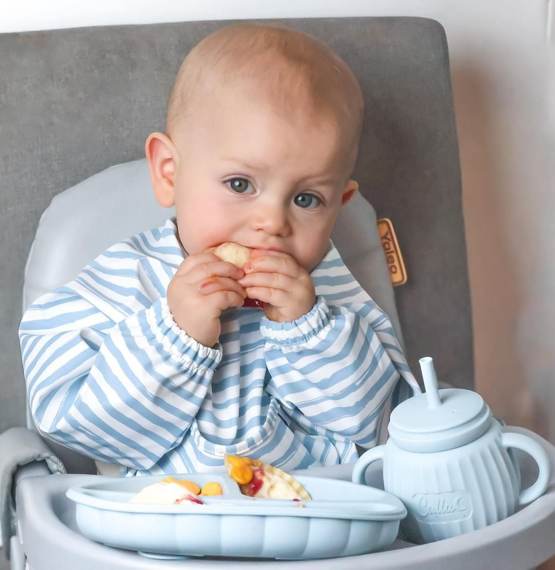 The Grayson Long Sleeve Bib - Petal Pink Brush Stripes